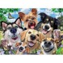 Puzzle Selfie Cu Catelusi, 500 Piese Ravensburger - 1